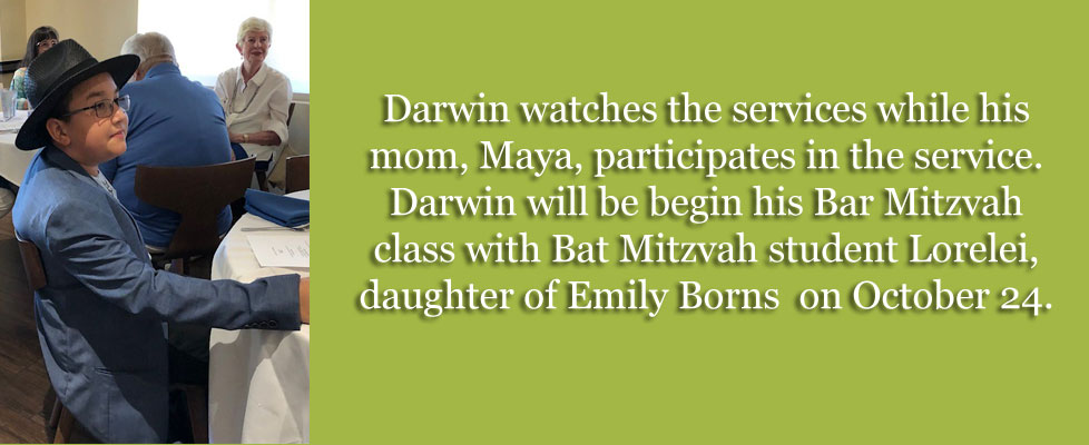 Darwin-watches
